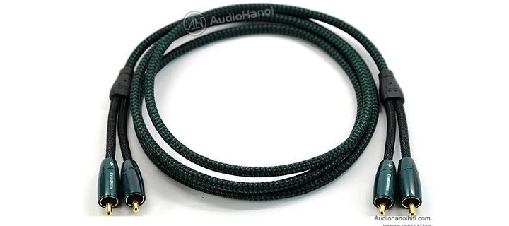 day tin hieu AudioQuest Evergreen chuan