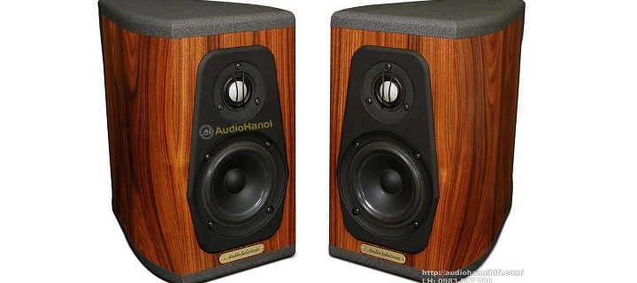 loa AudioSolutions Guimbarde chuan