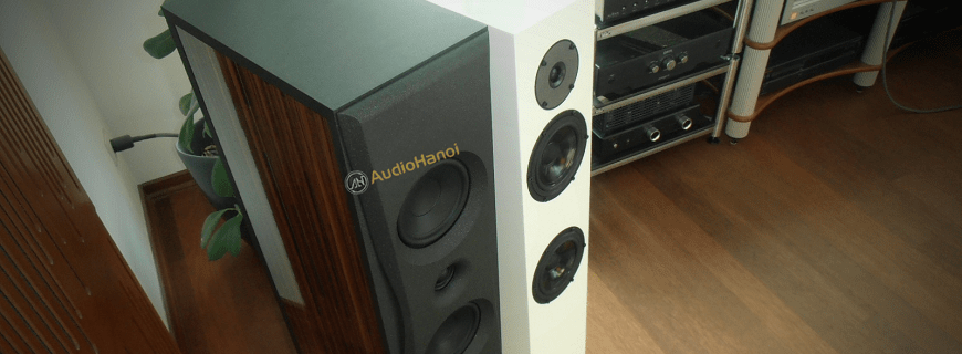 loa Audio Solutions Overture O203F chuan