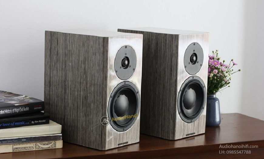 Loa Dynaudio Special Forty tot