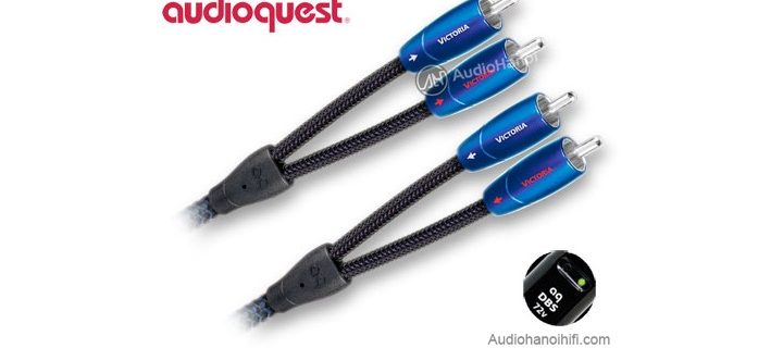 day tin hieu AudioQuest Victoria chuan