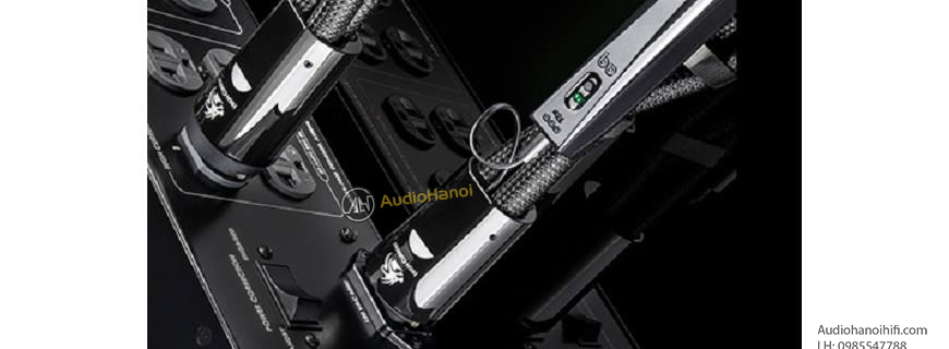 AudioQuest Dragon High Current chuan