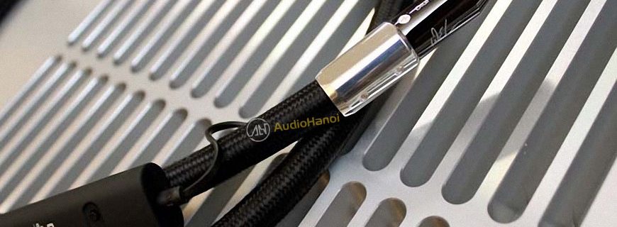 Day tin hieu Coaxial AudioQuest Wel Signature chuan