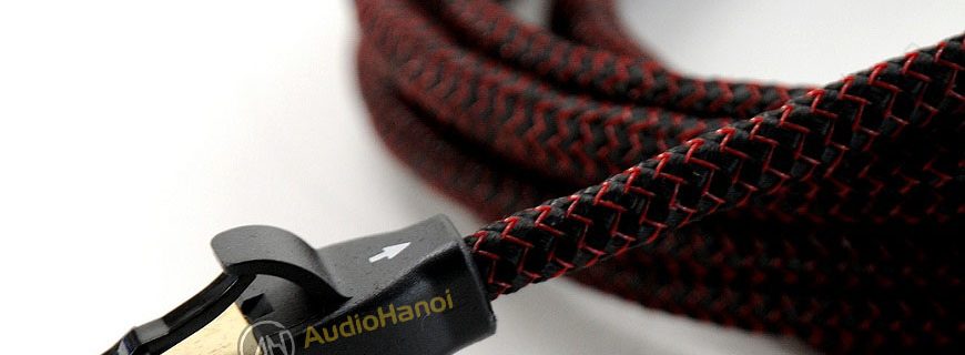 day tin hieu RJ/E AudioQuest Cinnamon chuan