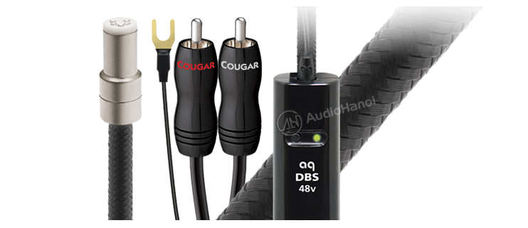 day tin hieu AudioQuest Cougar chuan