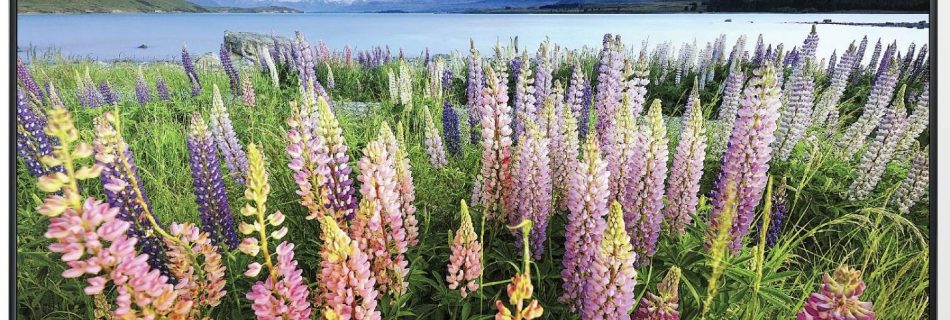 TV LED Samsung J5100 chuan