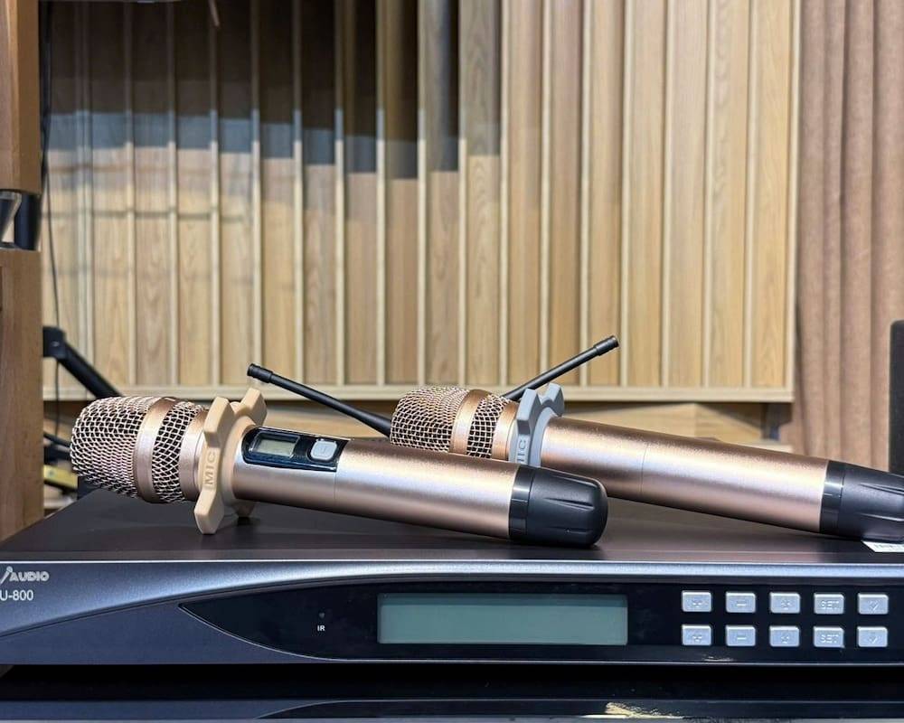 Micro không dây PA Audio U-800