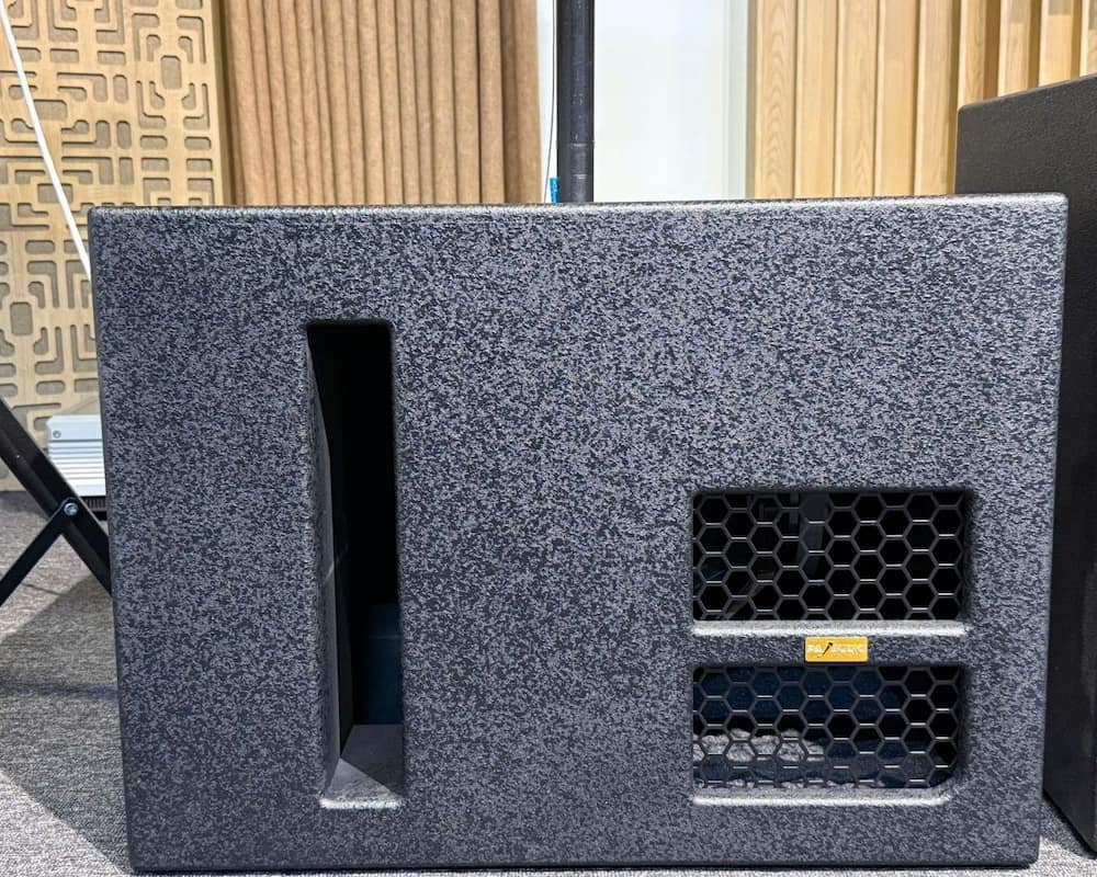 Loa subwoofer PA Audio LS15