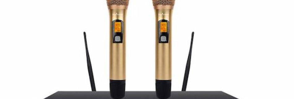 Micro không dây PA Audio U-800