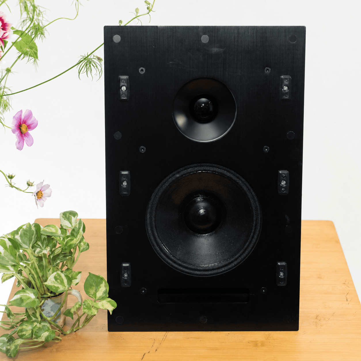 Loa karaoke PA Audio QLS08 và sức hút của một hệ thống karaoke hiện đại