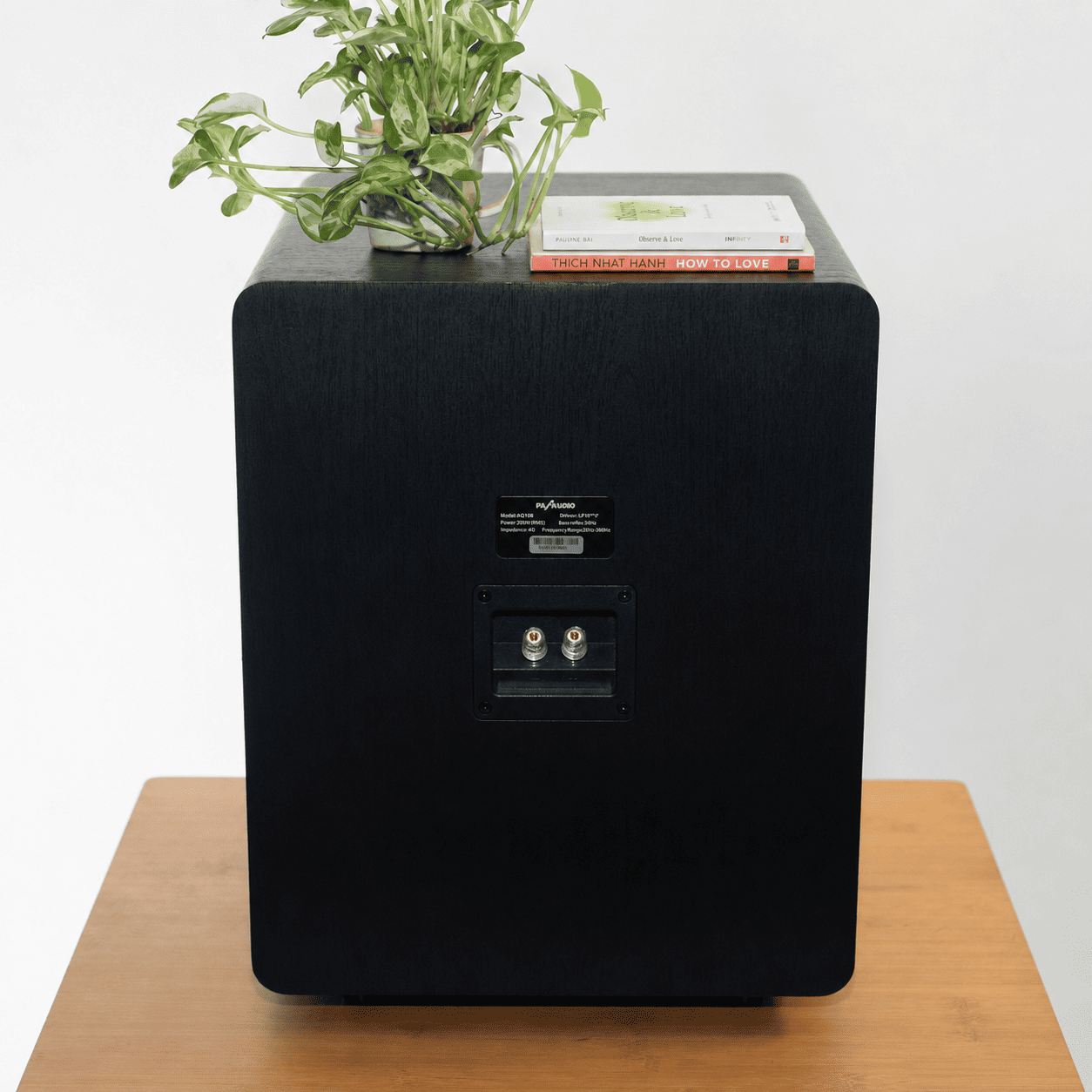 Loa subwoofer karaoke PA Audio AQ10B mang dải trầm lý tưởng cho phòng hát hiện đại