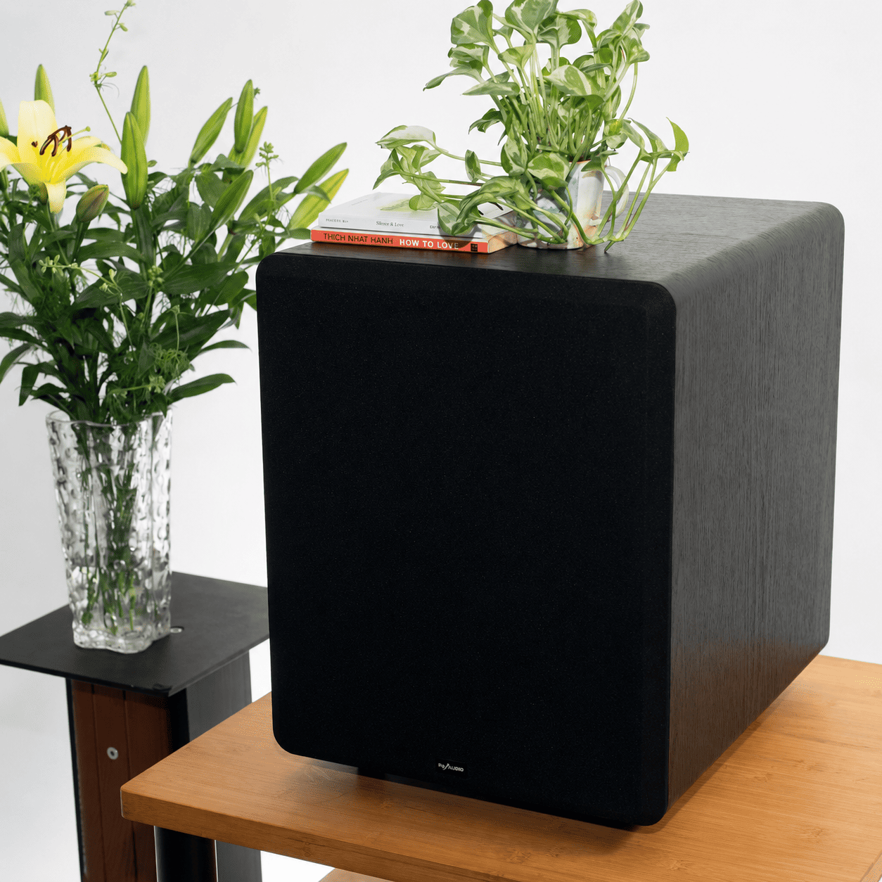 Loa subwoofer karaoke PA Audio AQ10B mang dải trầm lý tưởng cho phòng hát hiện đại