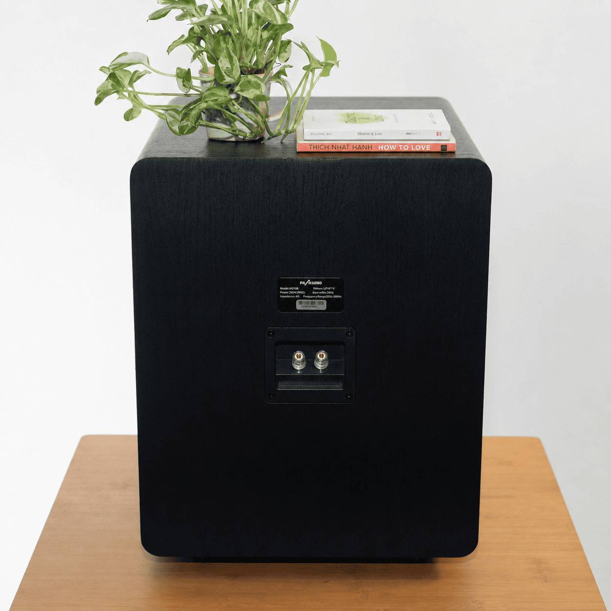 Loa subwoofer karaoke PA Audio FB15/B xứng đáng bước nâng cấp đáng giá cho hệ thống karaoke