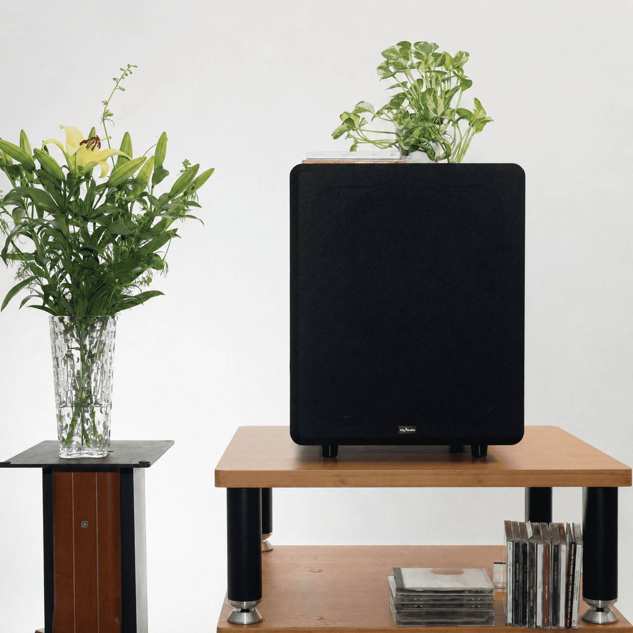 Loa subwoofer karaoke PA Audio FB15/B xứng đáng bước nâng cấp đáng giá cho hệ thống karaoke