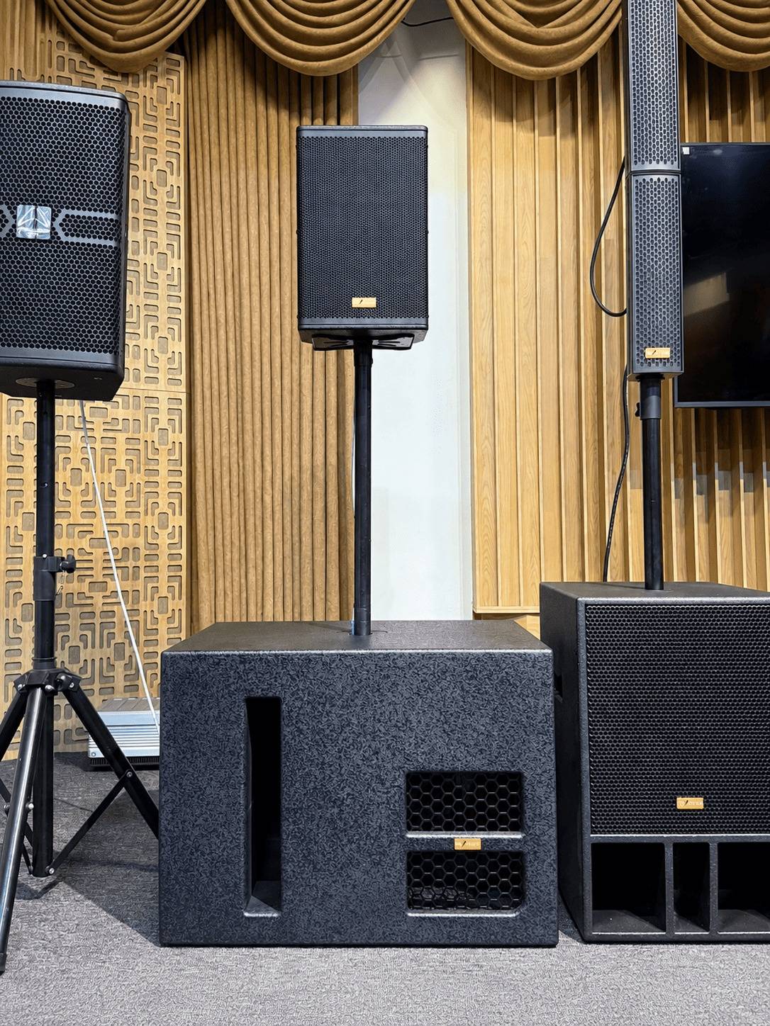 Loa subwoofer karaoke PA Audio LS-15 – nền tảng dải trầm mạnh mẽ cho hệ thống karaoke chuyên nghiệp