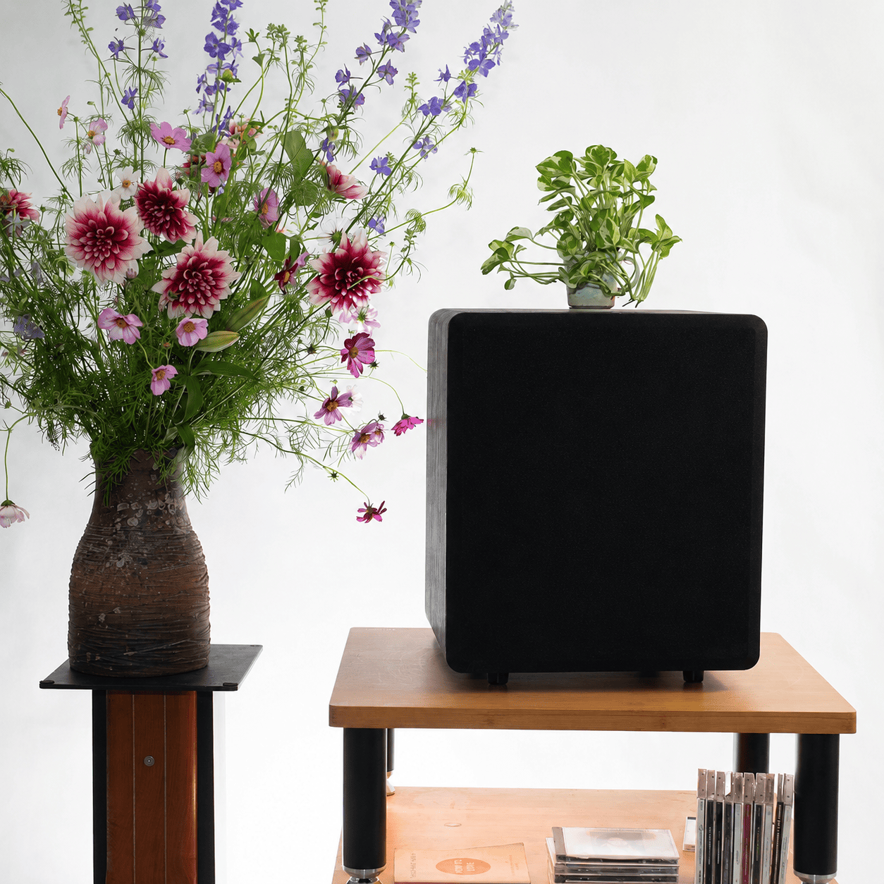 Loa subwoofer karaoke PA Audio XB12B/B và vai trò tạo nên không khí sôi động cho phòng hát