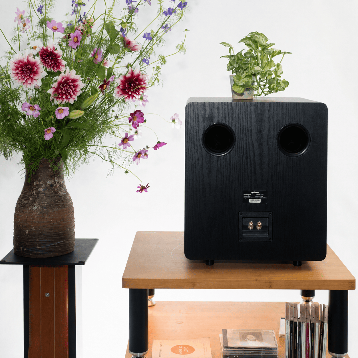 Loa subwoofer karaoke PA Audio XB12B/B và vai trò tạo nên không khí sôi động cho phòng hát