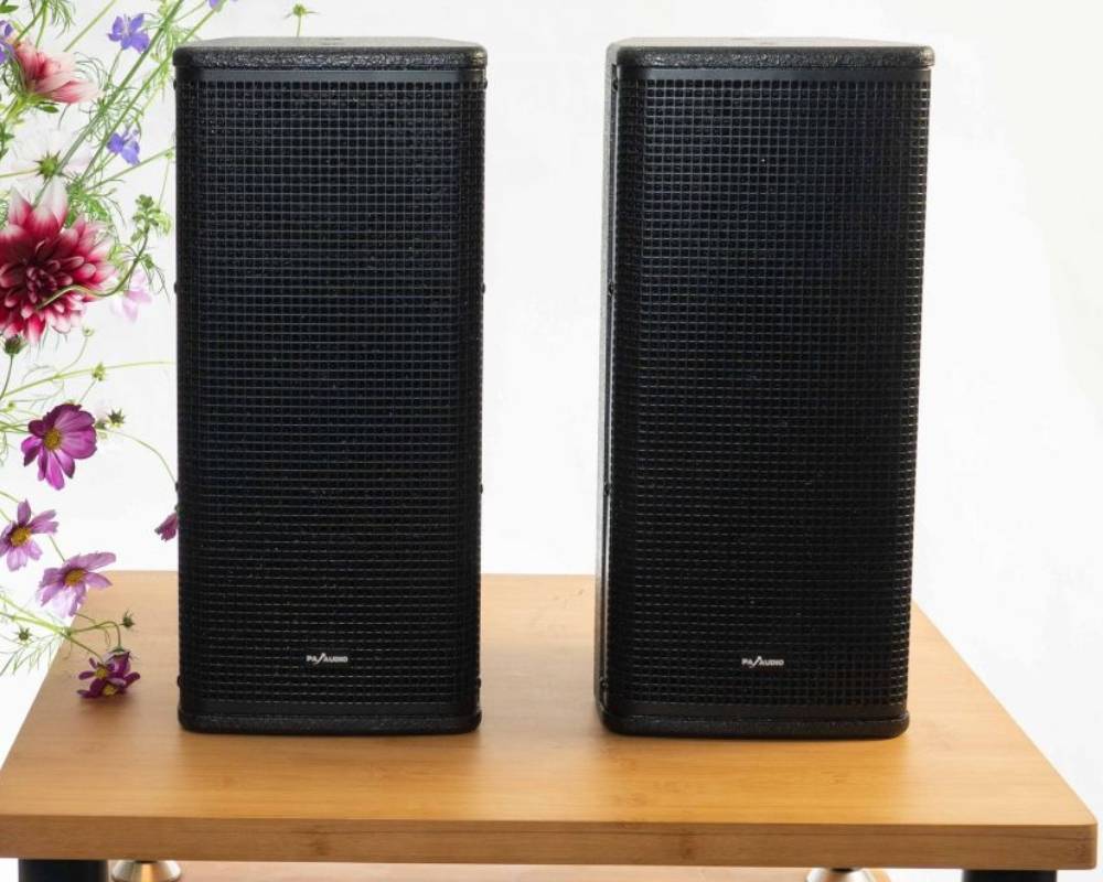 PA Audio HC326E (3)