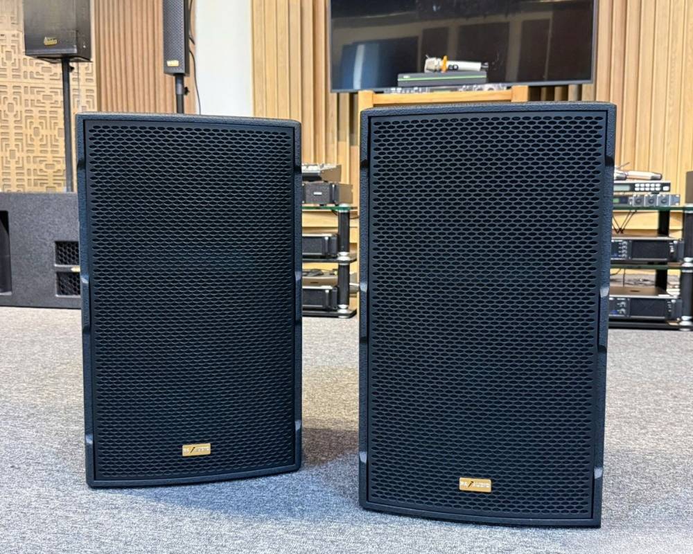 PA Audio KJB-12 (2)