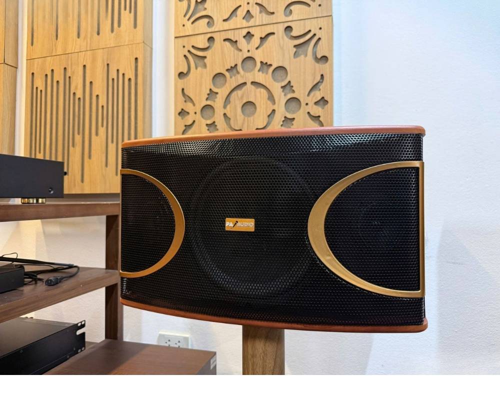 PA Audio MK-210 (2)