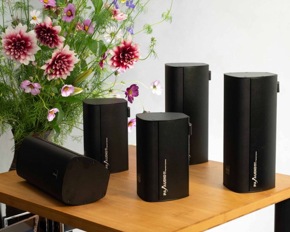 PA Audio Q231 (3)