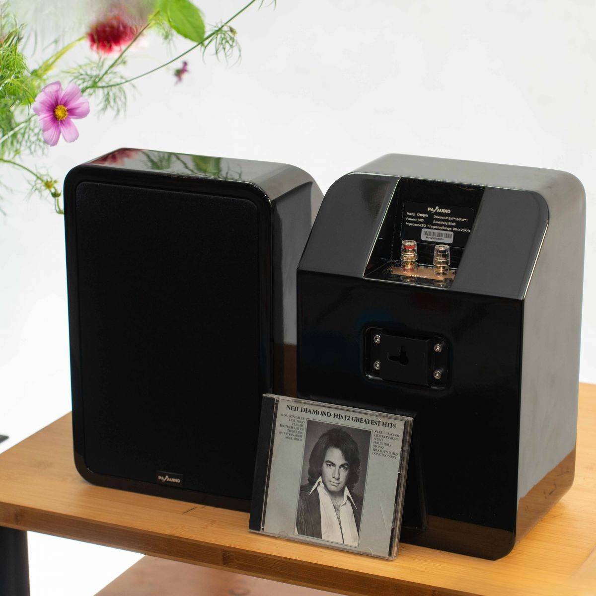 Loa surround karaoke PA Audio XS6B/B cho cảm hứng âm thanh lan tỏa khắp không gian