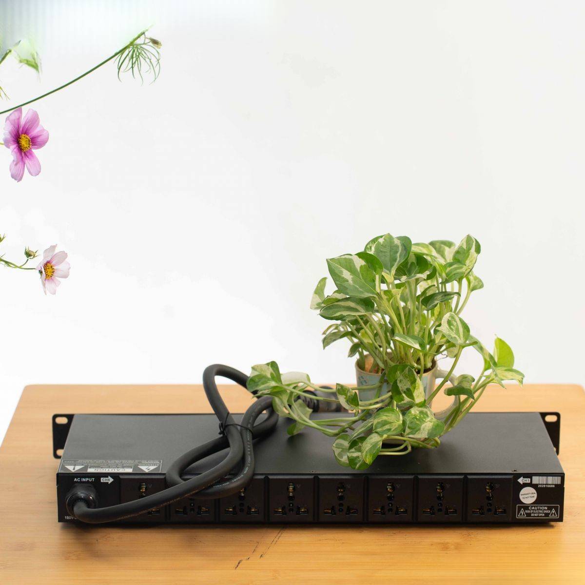 Quản lý nguồn PA Audio CT-02 mang đến sự ổn định ngay từ bước khởi động hệ thống